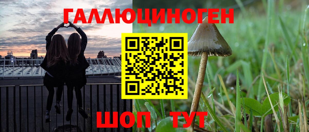 Псилоцибиновые грибы мухоморы Коломна